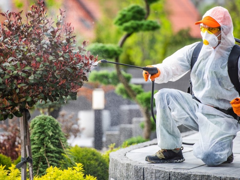 Oltu Haşere İlaçlama